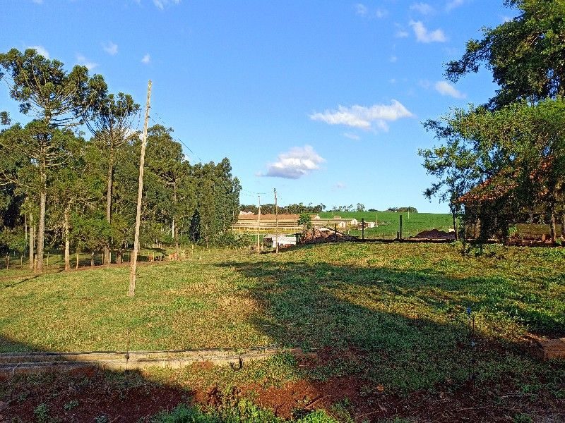 ÁREA DE TERRA - SEDE FIGUEIRA