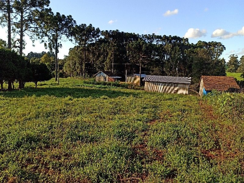ÁREA DE TERRA - SEDE FIGUEIRA 4
