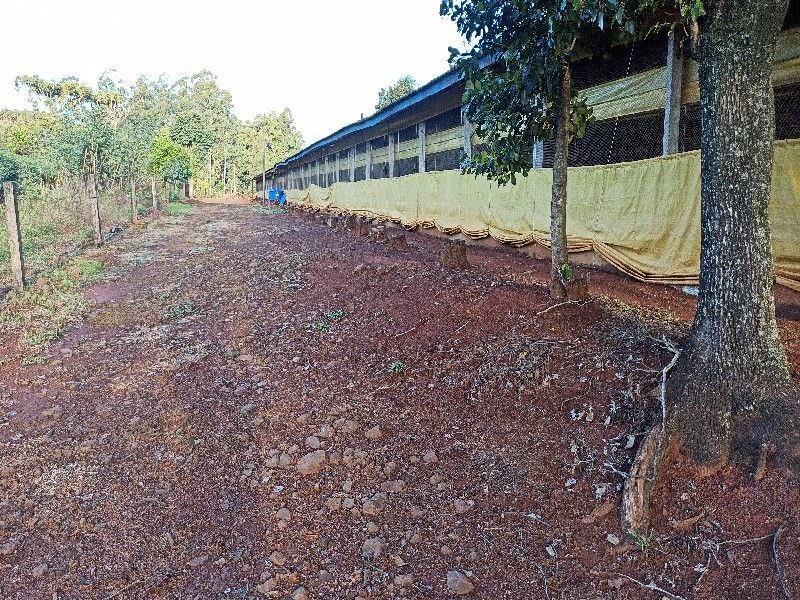 ÁREA DE TERRA - SEDE FIGUEIRA 13