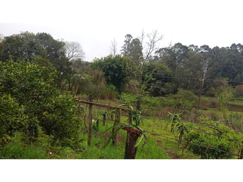ÁREA DE TERRA - PALMITAL DOS FUNDOS 3
