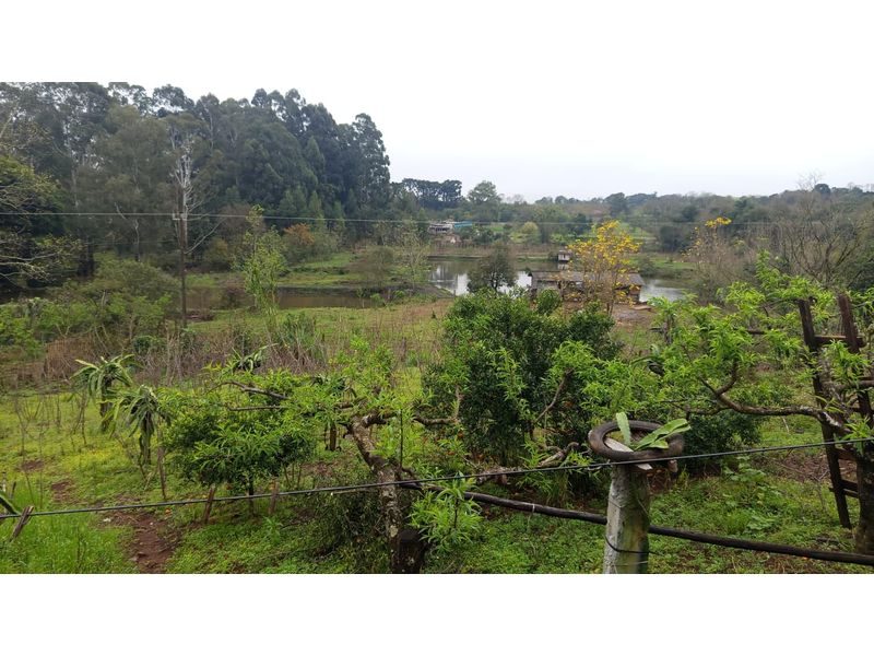 ÁREA DE TERRA - PALMITAL DOS FUNDOS 4