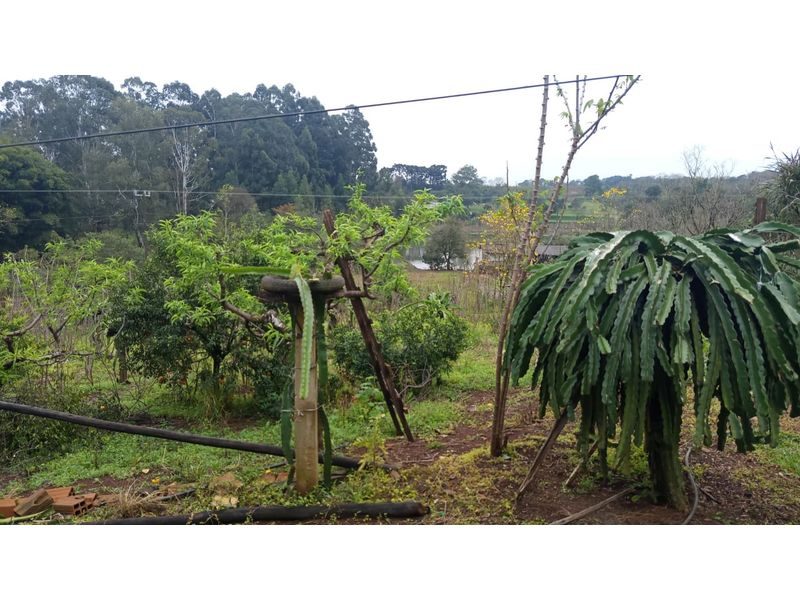 ÁREA DE TERRA - PALMITAL DOS FUNDOS 5