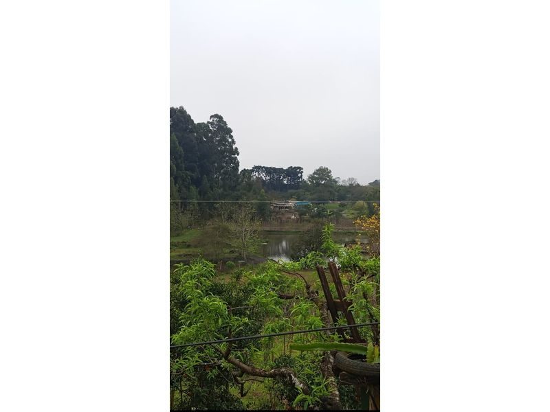 ÁREA DE TERRA - PALMITAL DOS FUNDOS 7