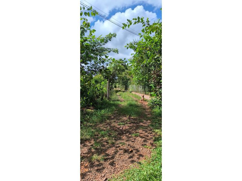 SITIO - MARECHAL BORMANN 10