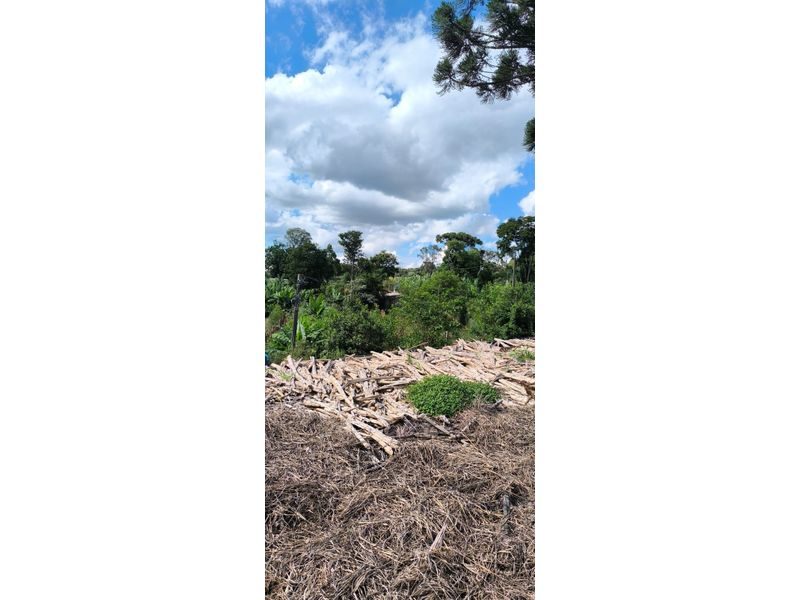 SITIO - MARECHAL BORMANN 16