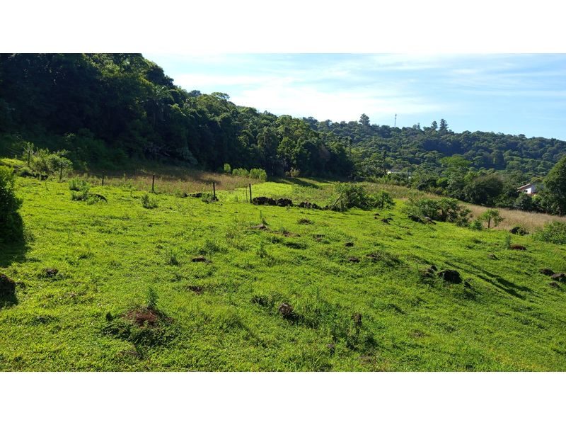 ÁREA DE TERRA - ZONA RURAL 4