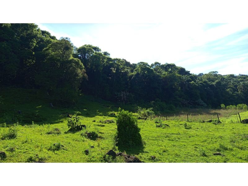 ÁREA DE TERRA - ZONA RURAL 5