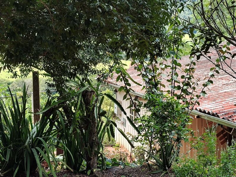 SITIO - INTERIOR 19
