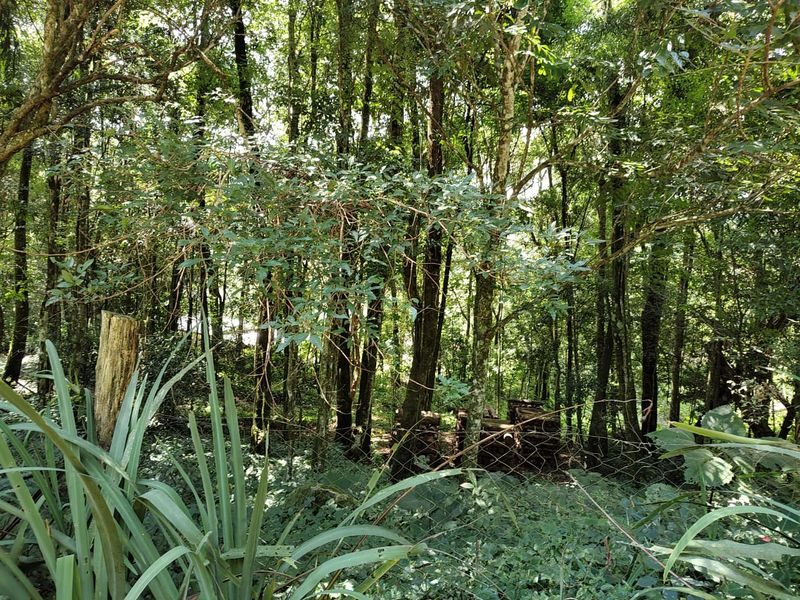SITIO - INTERIOR 21