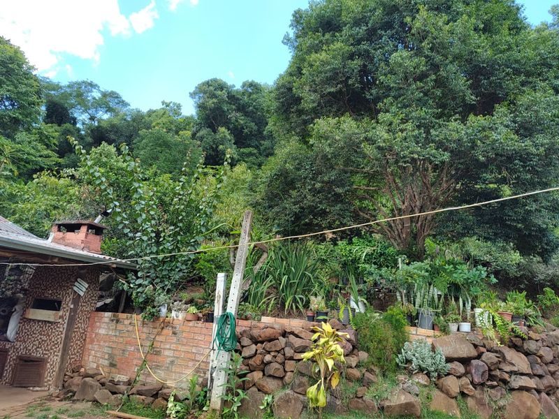 SITIO - INTERIOR 38