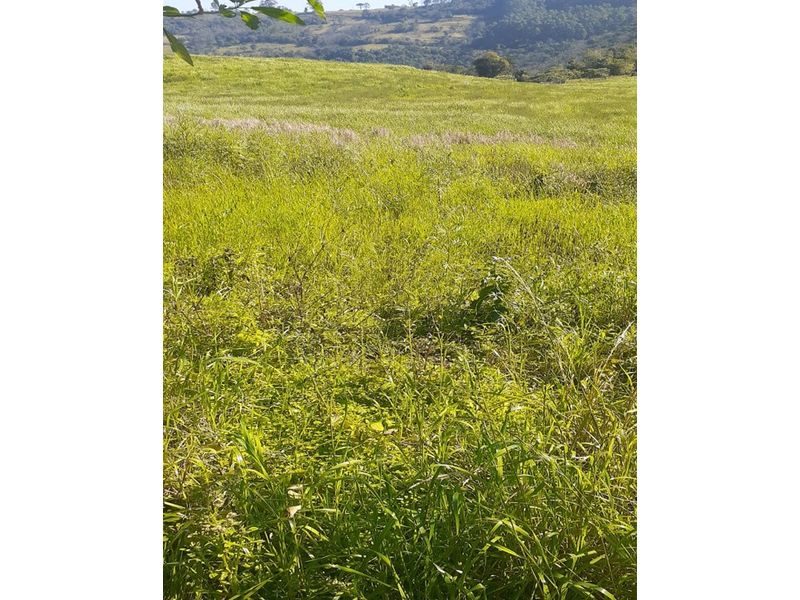 ÁREA DE TERRA - SESSÃO DOURADINHO 6