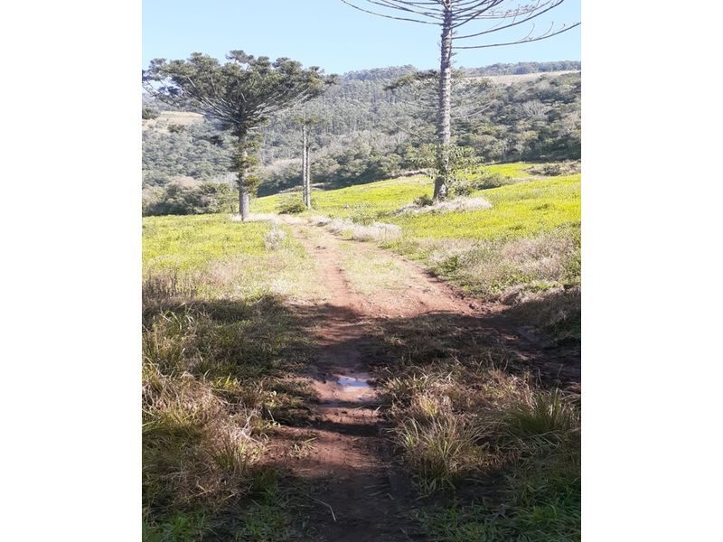 ÁREA DE TERRA - SESSÃO DOURADINHO 7