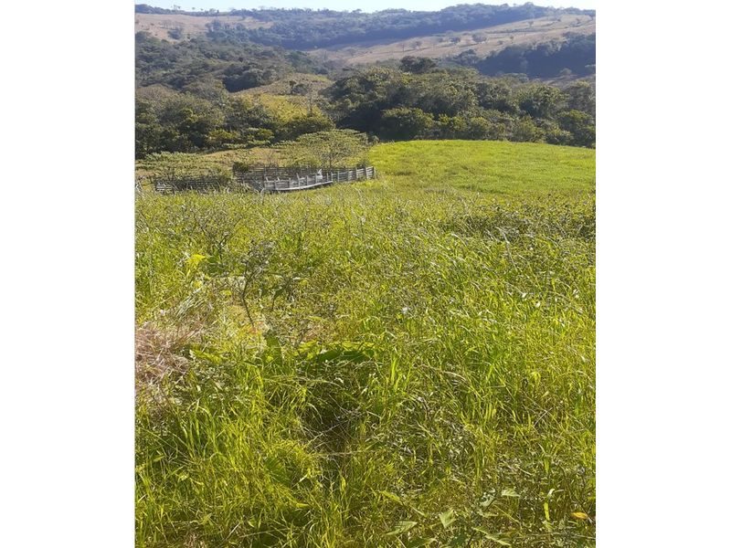 ÁREA DE TERRA - SESSÃO DOURADINHO 9