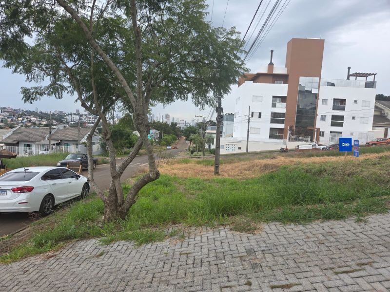 TERRENO - PARAÍSO 4