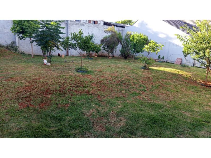 CASA - PALMITAL 12
