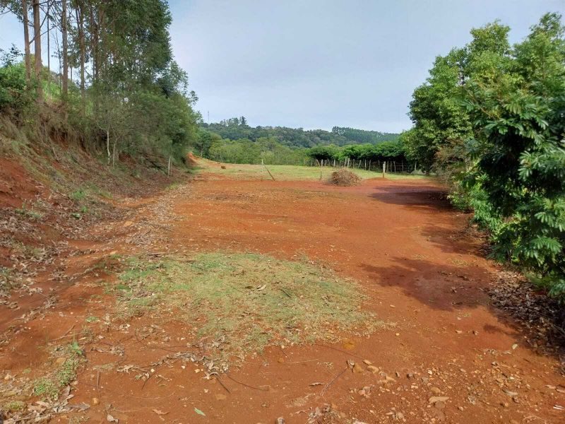 ÁREA DE TERRA - INTERIOR 4
