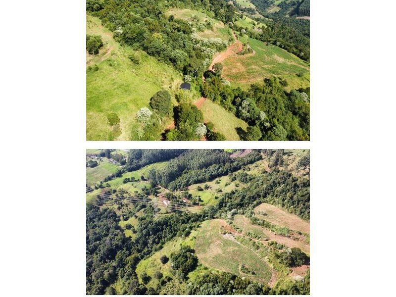 ÁREA DE TERRA - ARVOREDO