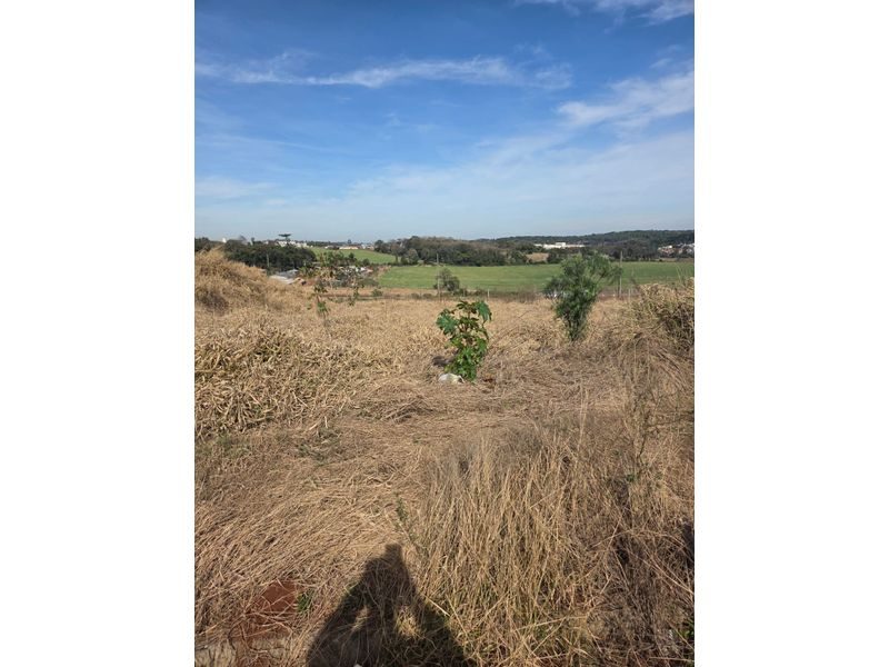 TERRENO - ARARAS