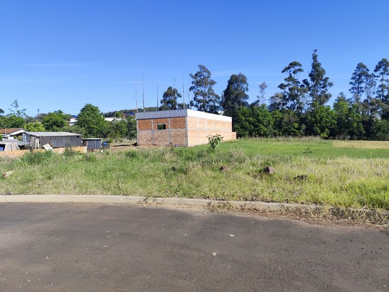 TERRENO - BELVEDERE