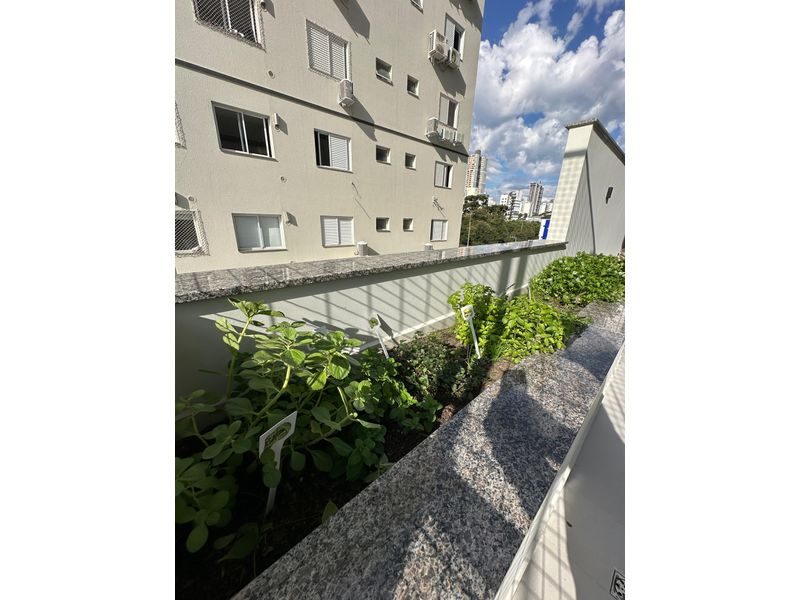 APARTAMENTO - CENTRO 11