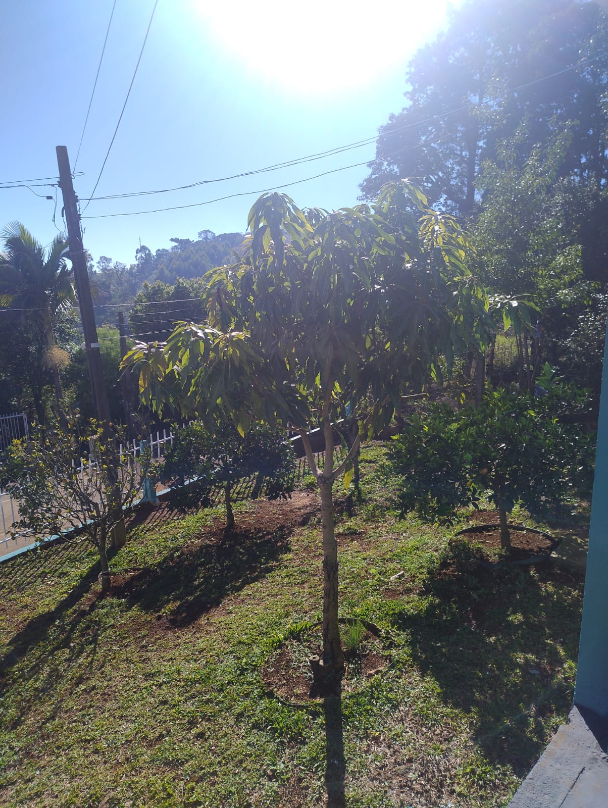 CASA À VENDA NO BAIRRO ESPLANADA- CHAPECÓ SC 22