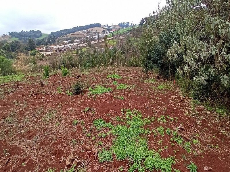 ÁREA COMERCIAL - VILA REAL 11