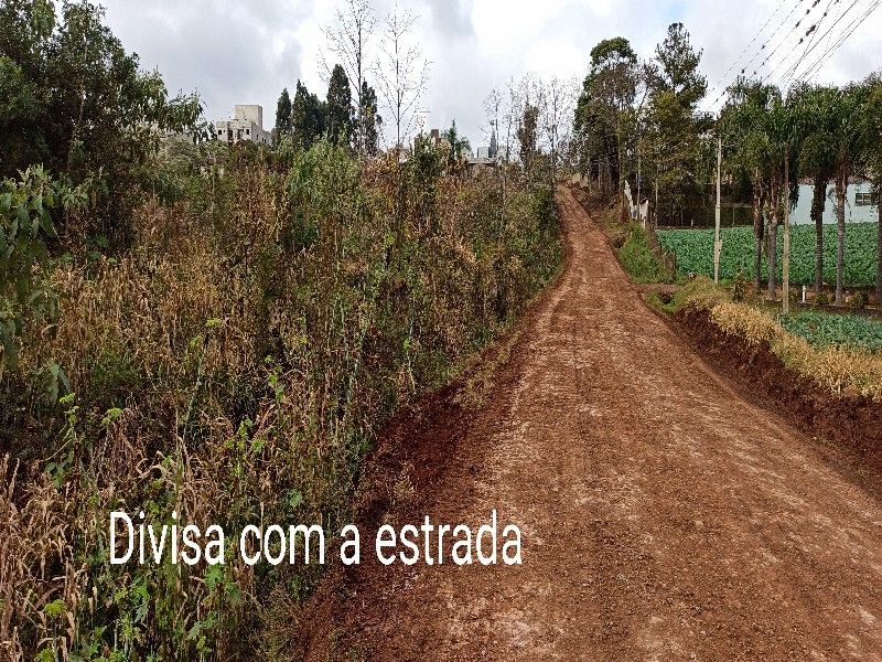 ÁREA COMERCIAL - VILA REAL 15