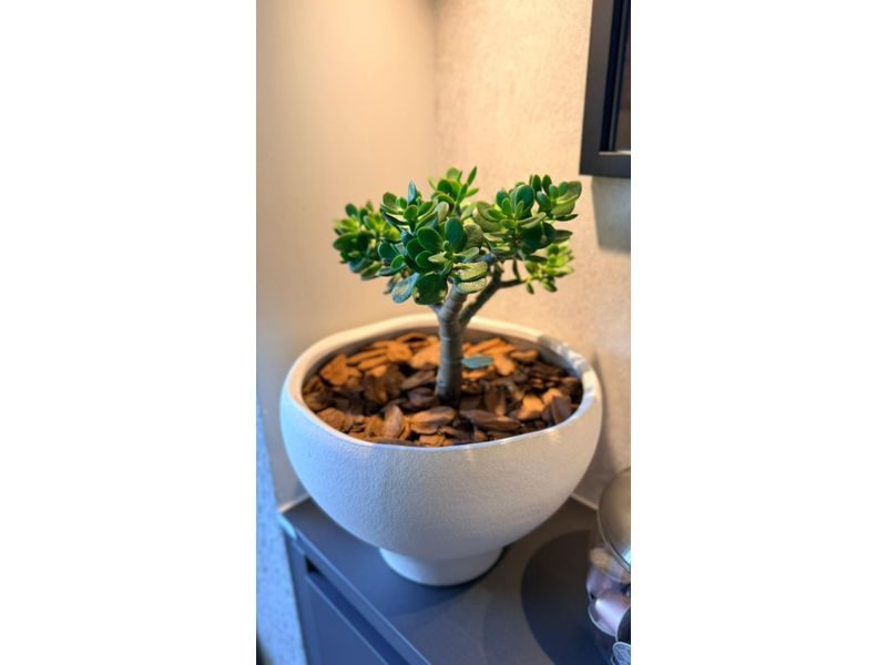 APARTAMENTO - JARDIM ITÁLIA 18