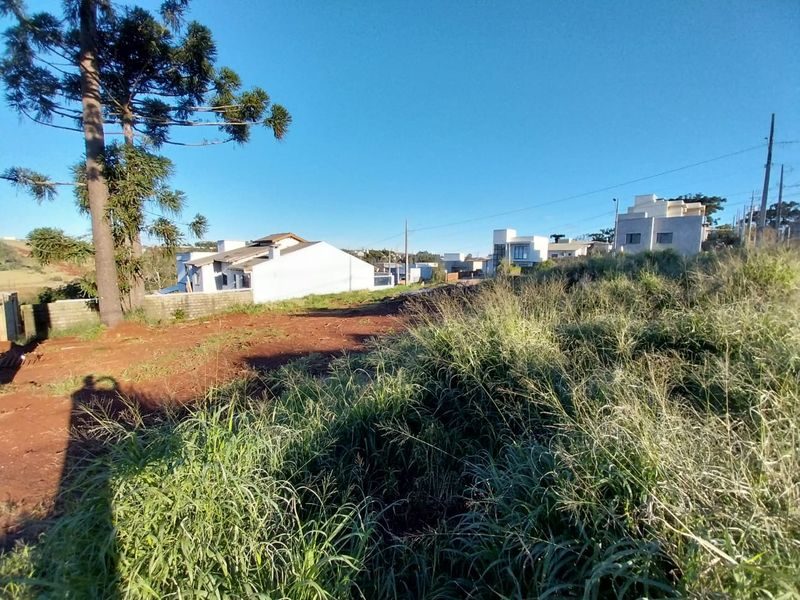 TERRENO - AUTODROMO 3