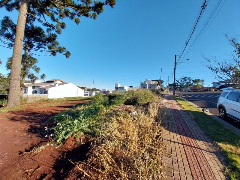 TERRENO - AUTODROMO 4