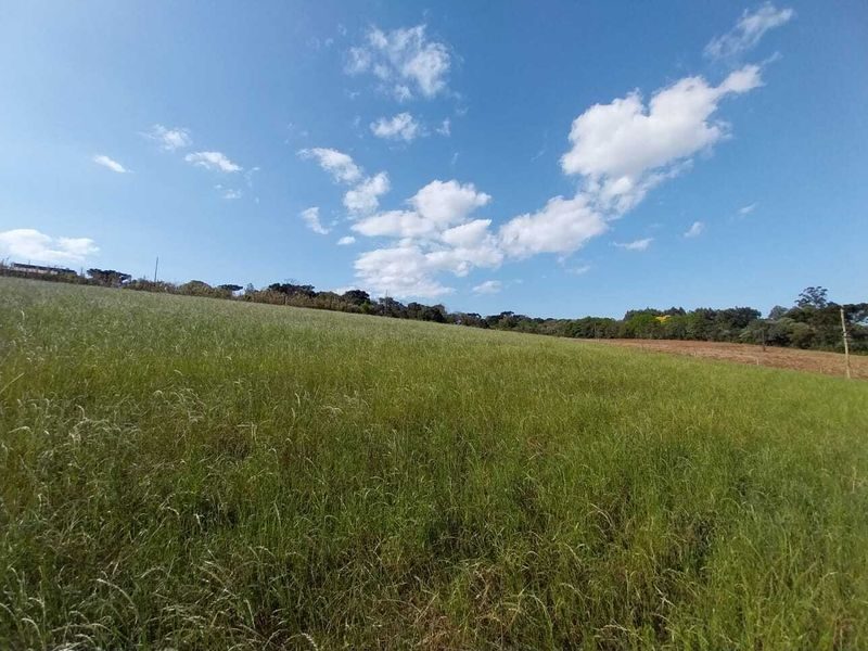 ÁREA DE TERRA - MARECHAL BORMANN