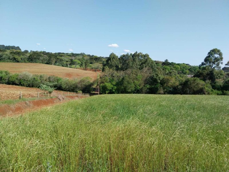 ÁREA DE TERRA - MARECHAL BORMANN 7