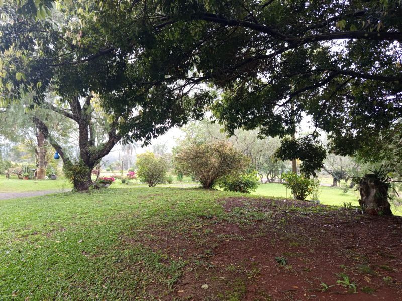 SITIO - QUEDAS DO PALMITAL 4