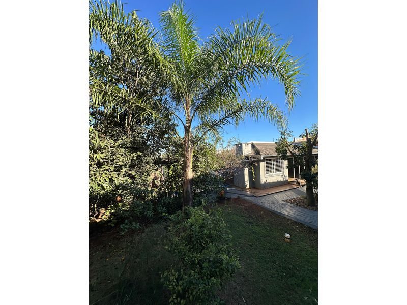 CASA - QUEDAS DO PALMITAL 18