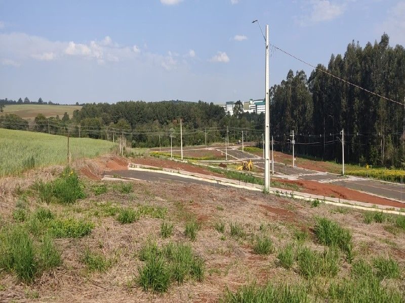 TERRENO - INTERIOR 3