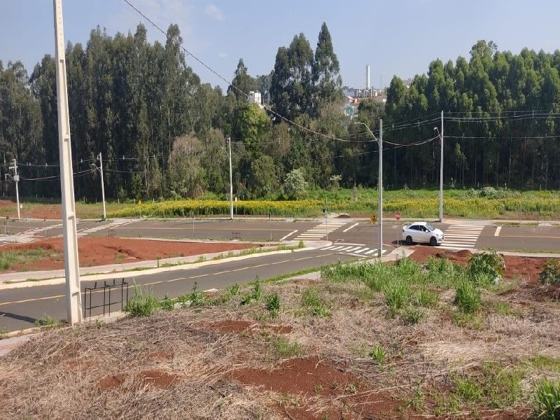 TERRENO - INTERIOR 7