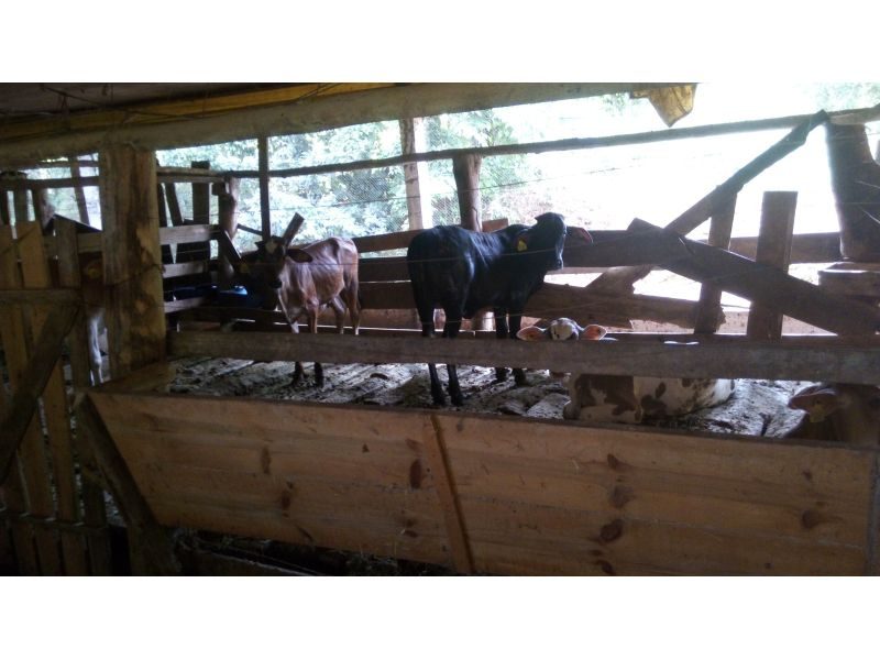 SITIO - INTERIOR 8