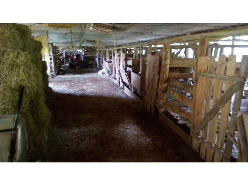 SITIO - INTERIOR 10